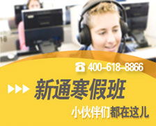 新通教育 全球留学规划的领航者与顶级咨询服务机构